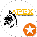 APEX C.T.A. APEX C.T.A.